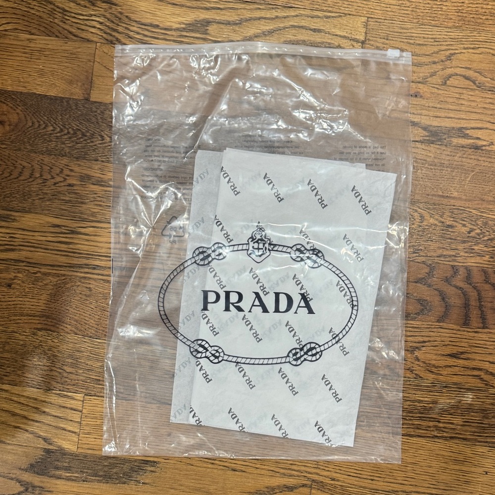Prada Transparent Logo Bag